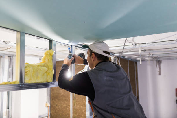 Best Wall Insulation Installation  in Hidden Valley Lake, CA